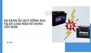 Ắc quy Đồng Nai và GS
