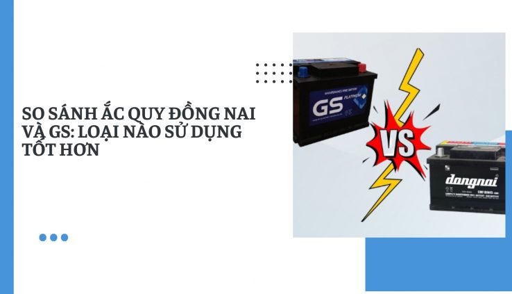 Ắc quy Đồng Nai và GS